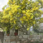 Casa Geromina *