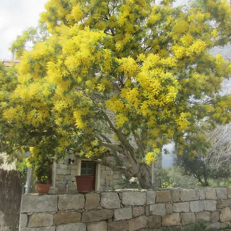 Casa Geromina *